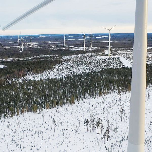 Vindkraftverk i Markbygden i Piteå – snurror, skog och hyggen med snö sett lite ovanifrån