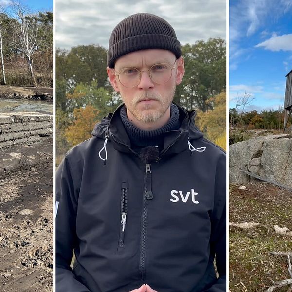 Grävmaskinsspår och jakttorn i Svängehallar-Fjärehals naturreservat upptäcktes i samband med en inspektion av länsstyrelsen