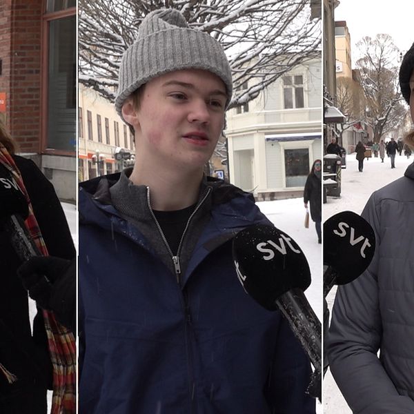 Delad bild. Irma Åslund Gran har på sig en svart kappa och en färgglad halsduk,  Hannes Wallentin har på sig en blå jacka och grå mössa och Ingrid Jeppesen har på sig en grå jacka och svart mössa.