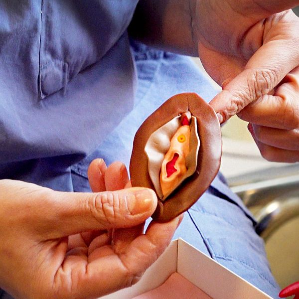 Person demonstrerar en medicinsk prototyp på ett kvinnligt underliv