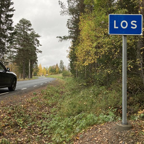 Thailändska bärplockare arbetar i Los.