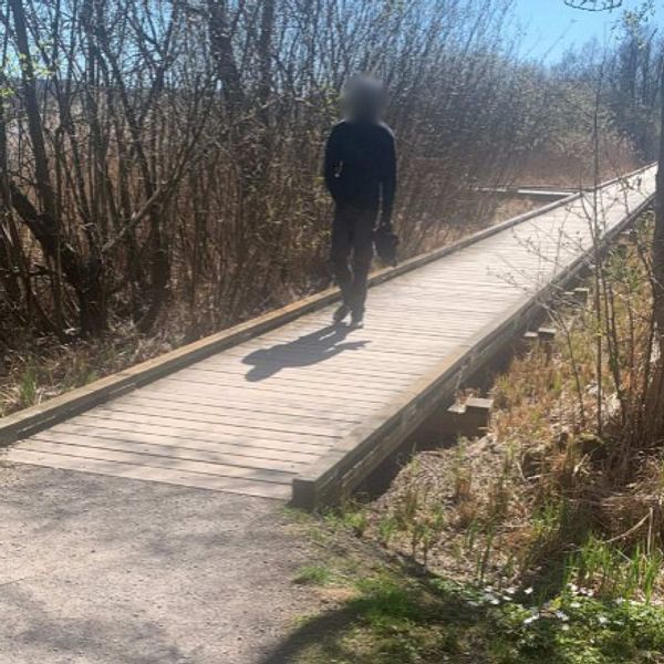 Mannen som misstänks för sexuellt ofredande går på en träbro vid Rocksjön