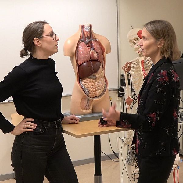 Två personer står och diskuterar i ett klassrum med anatomiska modeller i bakgrunden. En av modellerna visar den mänskliga kroppen med synliga organ som hjärta och lungor. Rummet är inrett för utbildning, med olika verktyg och resurser synliga.