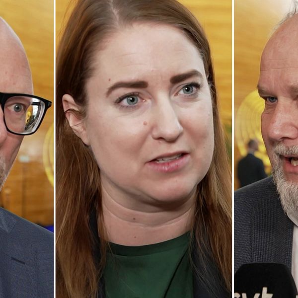 Tre personer i formella kläder. Det verkar vara tagna i en inomhusmiljö med gyllene bakgrund och svag belysning. En person håller en mikrofon märkt med SVT-logotypen.
