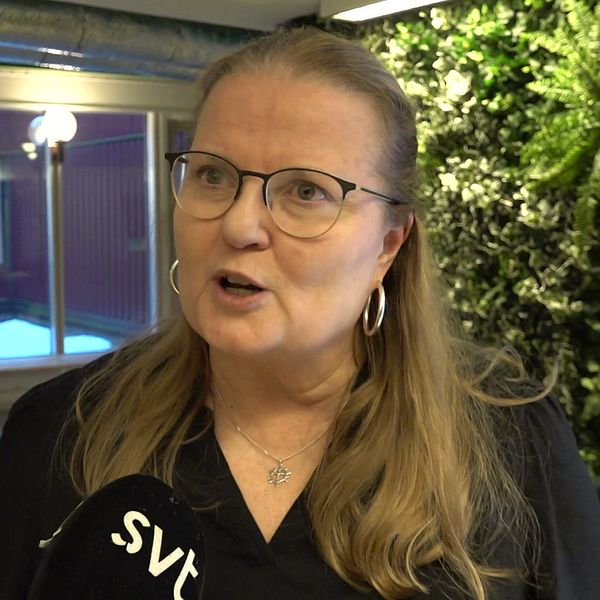 En person intervjuas av SVT i ett grönskande inomhusmiljö.