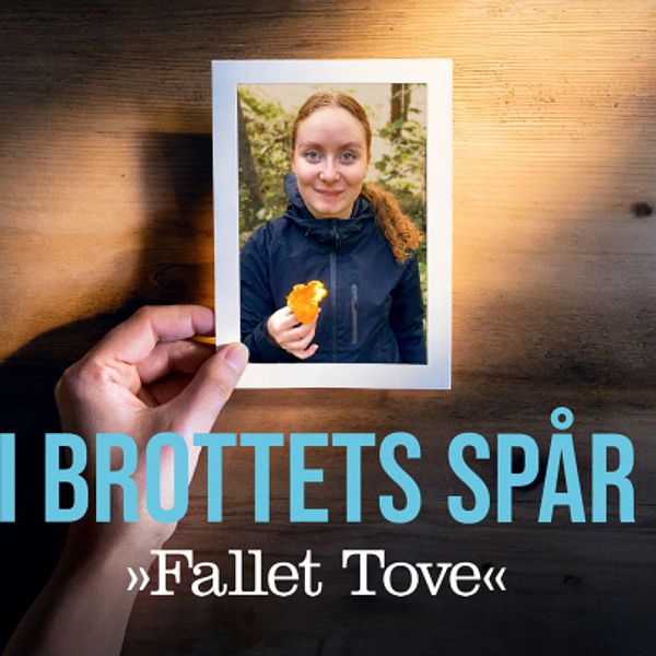 Tovefallet Tove I brottets spår