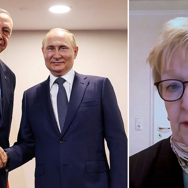 Erdogan och Putin skakar hand, och Stefanie Babst.