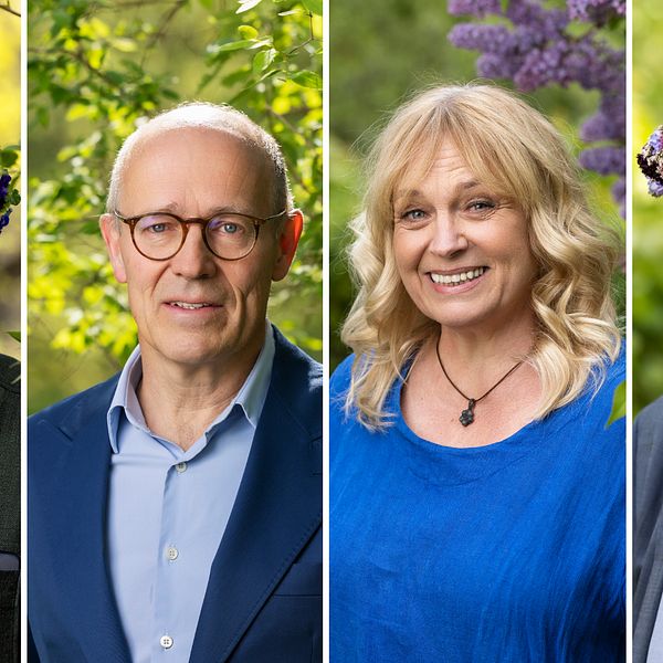 Porträtt på fyra sommarpratare från från Dalarna med blomkransar på huvudet. Göran Greider, Harald Mix, Sussie Eriksson och Bert Sundström