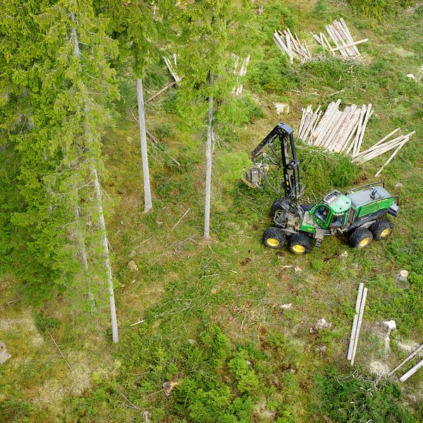 Skogsmaskin som arbetare i Hovmantorp.