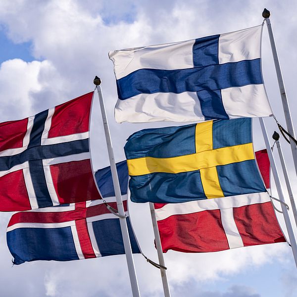 De nordiska flaggorna – Norges flagga, Islands flagga, Finlands flagga, Sveriges flagga och Danmarks flagga – vajar i vinden i hamnen i Helsingborg i maj 2020. Arkivbild.