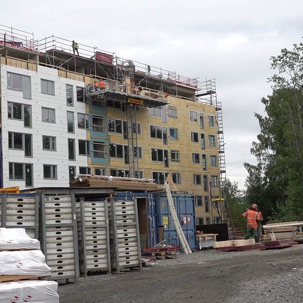 Bostadsrätter för sju miljoner kronor säljer som smör på den överhettade bostadsmarknaden i Skellefteå.