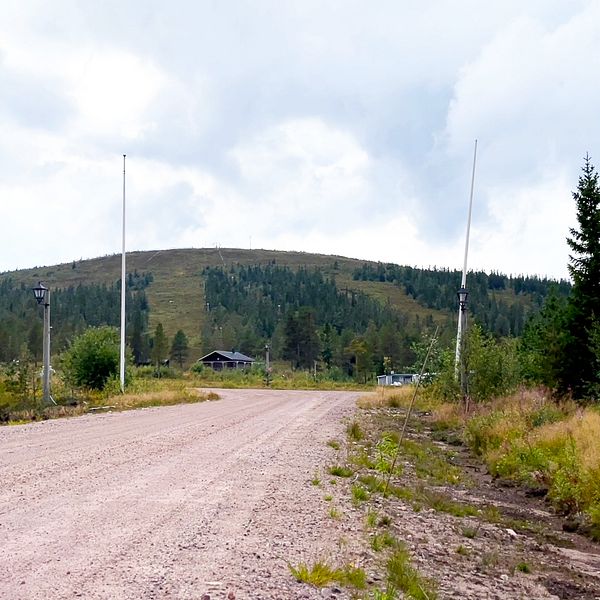 Vy över skidanläggningen Näsfjället i Sälen med grusväg och skog i förgrunden.