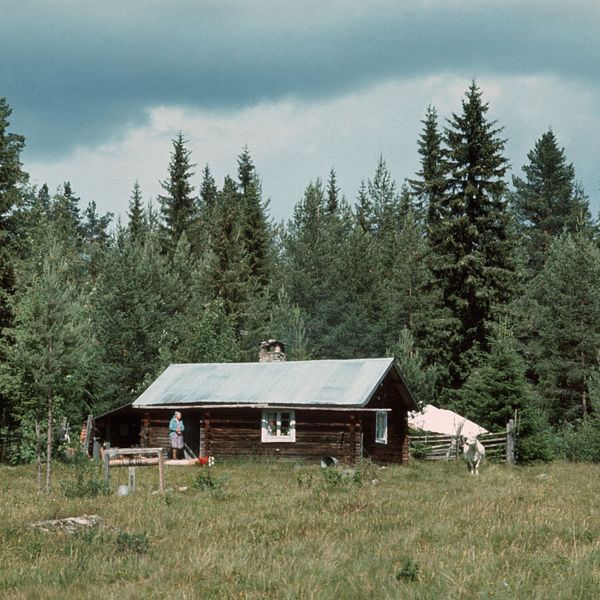 Fäbod