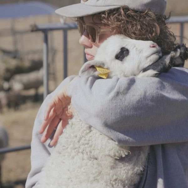 Amanda Bergman står vid en fårhage och kramar ett får.