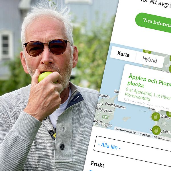 Man står i trädgård och äter ett äpple. I höger kant visas en del av internetsida med fruktförmedling.