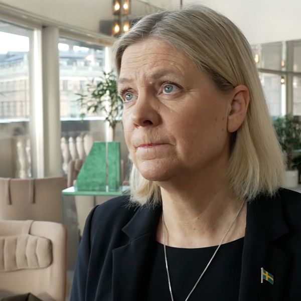 Person i svart kavaj intervjuas inomhus, grön växt i bakgrunden.