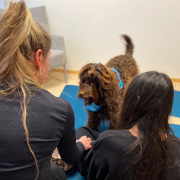 Hunden Etoile och specialpedagogen Kristina Bram