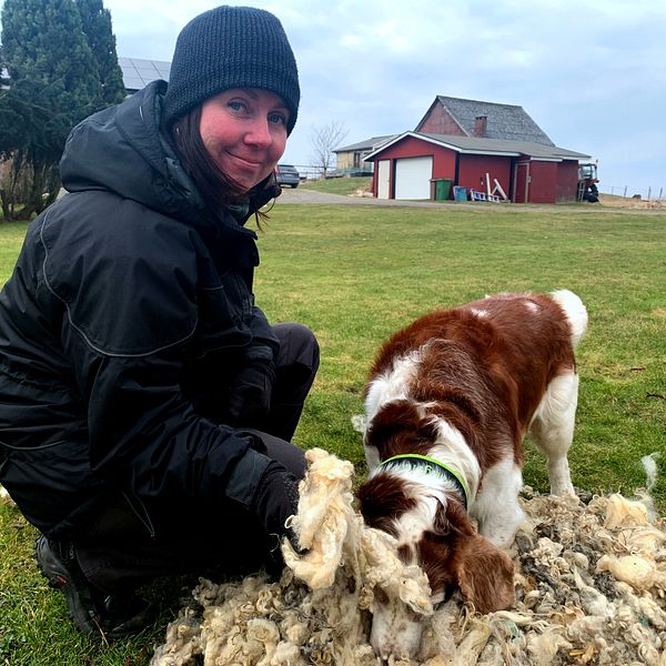 En kvinna sitter på knä i en trädgård med en hund. Hunden luktar på päls på marken.