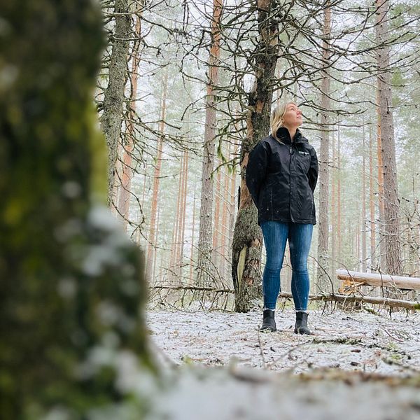 Helena Randefelt tittar upp på träden i skogen, där det sägs att Lucifers kyrka ska ligga i Lindesbergs kommun.