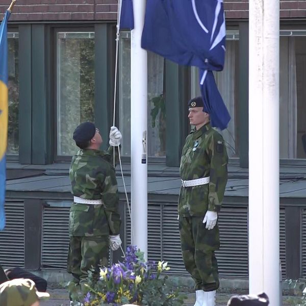 Två män i militärklader hissar en Nato-flagga.