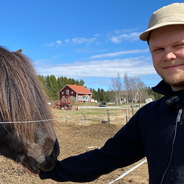 man med keps som klappar en brun häst