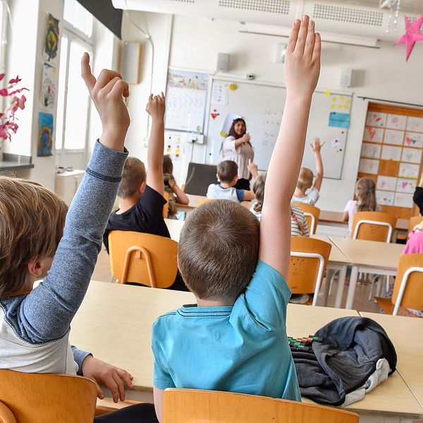 Elever i ett klassrum räcker upp händerna för att delta i undervisningen.