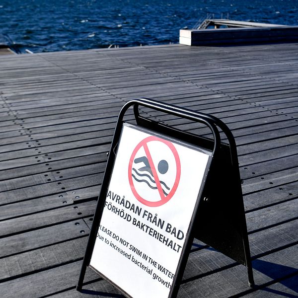 Skylt med texten ”Avrådan från bad – förhöjd bakteriehalt” uppställd på trädäck, vid vatten.