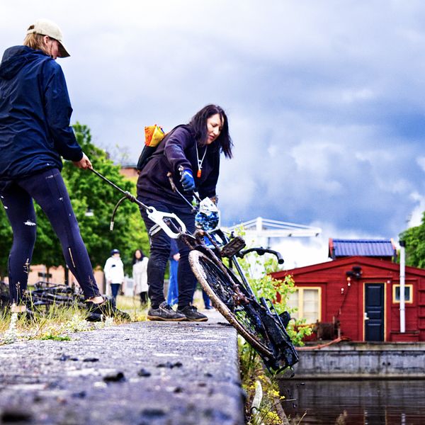Tre personer som drar i en cykel intill en å