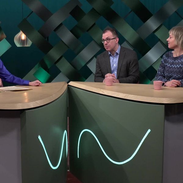 Tre personer diskuterar i en TV-studio på SVT.