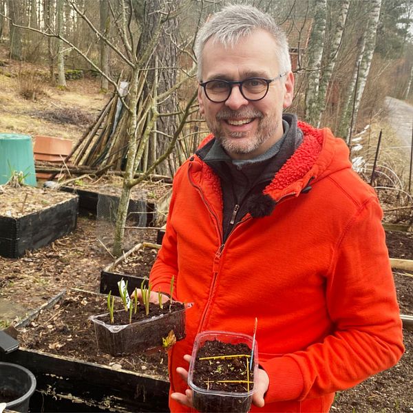 Johannes Wätterbäck, också känd som Farbror Grön, står vid sina odlingar iklädd orange fleecetröja. I händerna har han plasttråg med olika sådder. Han ser glad ut.