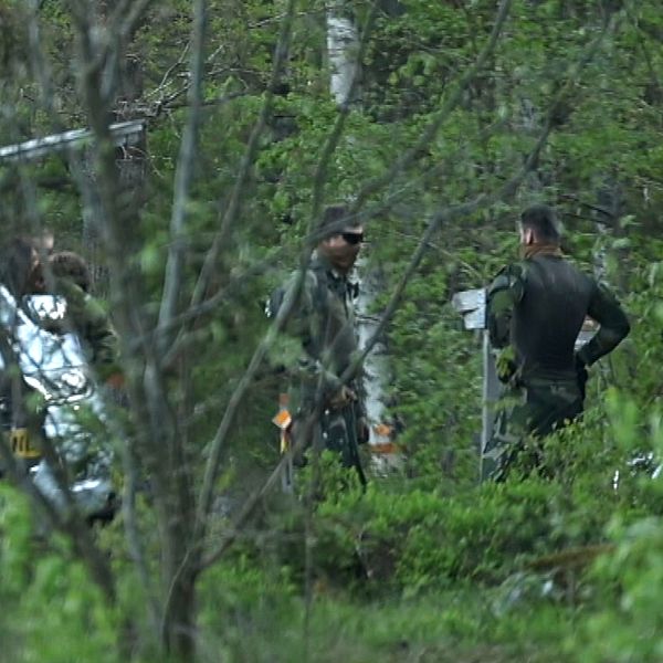 Militärer med täckta ansikten i skogsområde