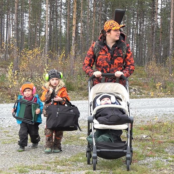 Emma i Storuman jagar älg med tre barn.