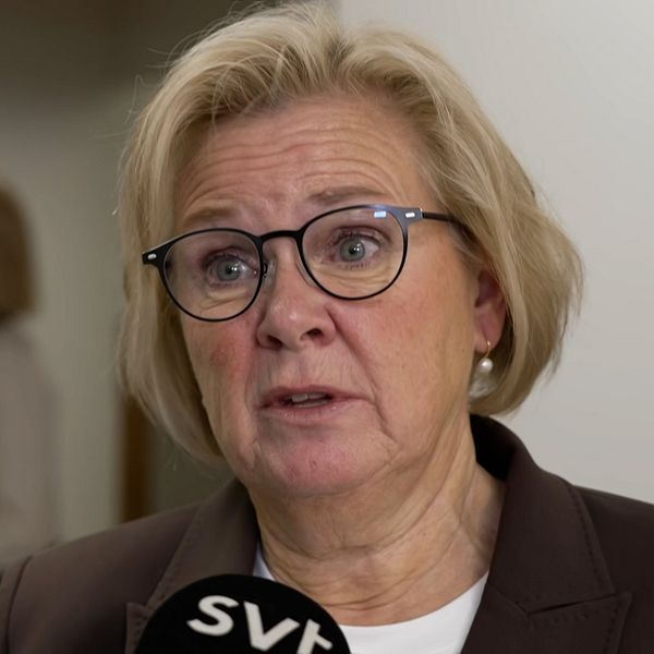 Petra Lundh, rikspolischef