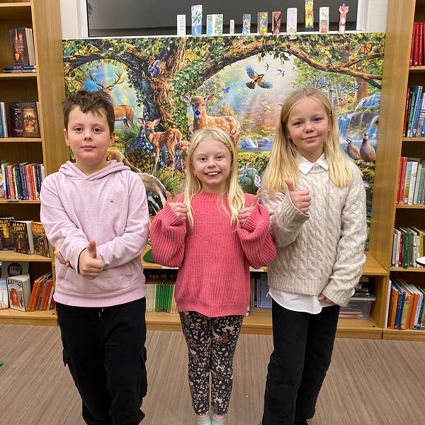 Tre elever på Skönsmons skola i Sundsvall gör tummen upp i biblioteket men det är skolmaten på deras skola som vunnit pris och är billig att tillverka