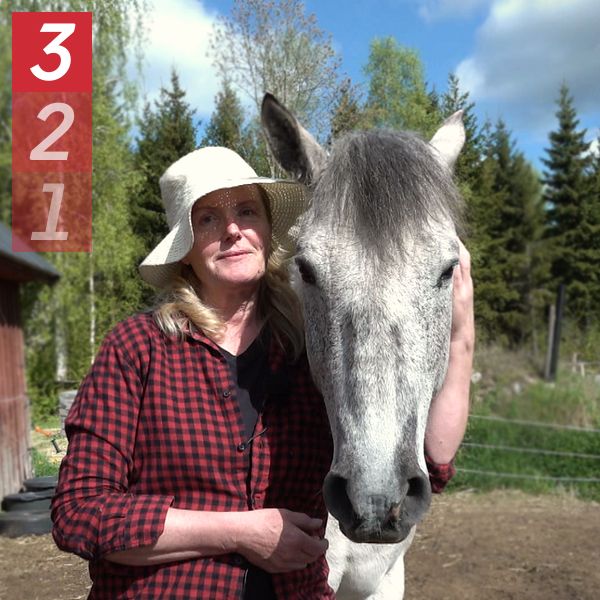 Person i röd skjorta står bredvid vit häst på gård med stall och träd i bakgrunden.