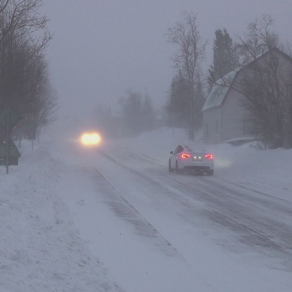 Snöyra över vinterväg.