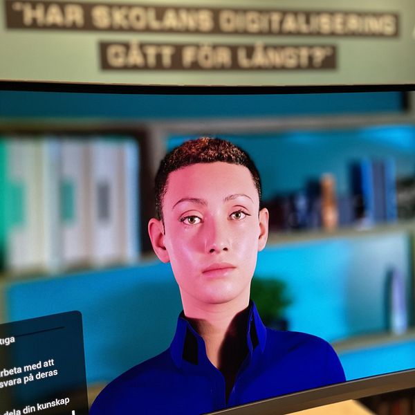 digital studie- och yrkesvägledare som man kan interagera med i realtid.