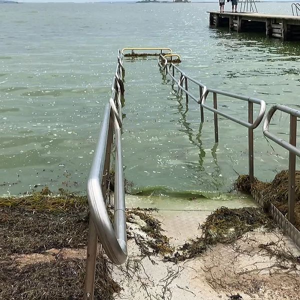 bild på strandkant med en ramp ner i vattnet