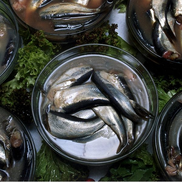 En burk surströmming.