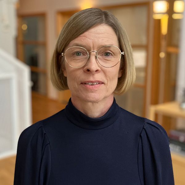 Rektorn vid Luleå tekniska universitet Birgitta Bergvall-Kåreborn.