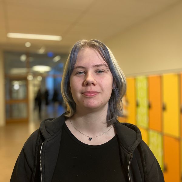 Nu ska gymnasieskolorna anpassa sitt utbud mer efter arbetsmarknadens behov.