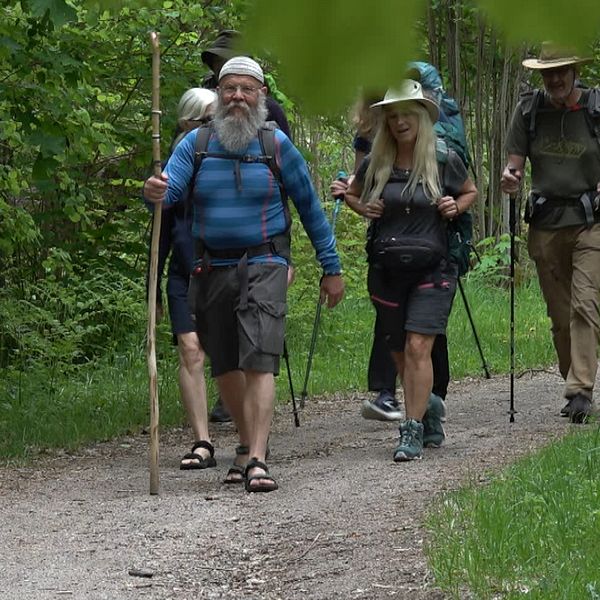 Den är Sveriges längsta pilgrimsled – och tusen år gammal. Nu rustas Romboleden som går mellan Köping och Trondheim.