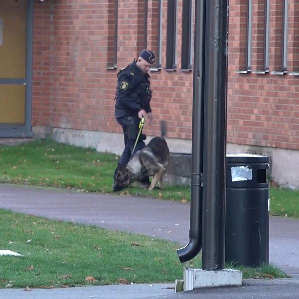 Polis med hund som söker utanför Alléskolan i Hallsberg
