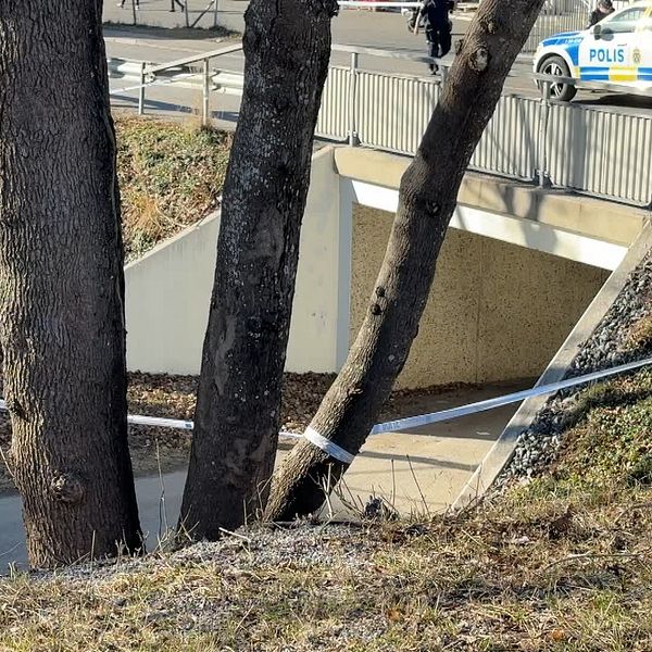 Polisbil vid avspärrat område med gångväg och bro, omgiven av träd i Geneta i Södertälje.