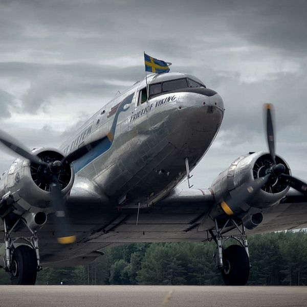 DC3 Daisy