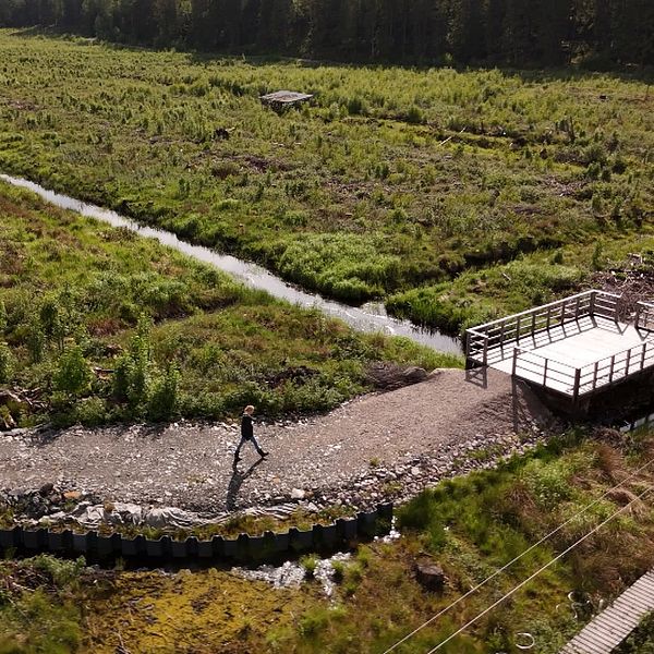 våtmark Skogaryds forskningsstation