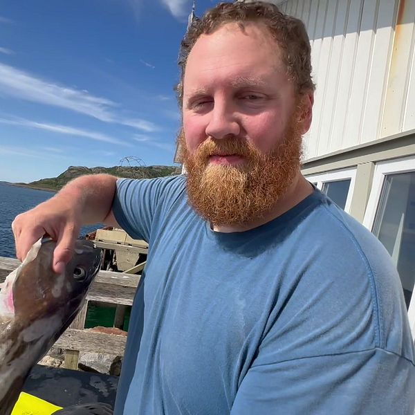 Skäggig man med torsk