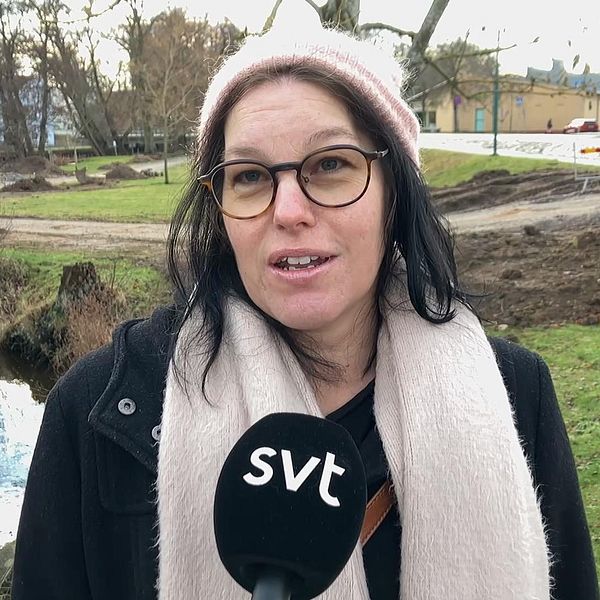 En person står vid en bäck i en park, med en mic som har SVT:s logotyp. I bakgrunden syns träd och en del av en väg, samt byggnader. Det är en mulen dag.