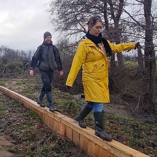Veberöds nya plankdämme ska skydda byn mot översvämningar.
