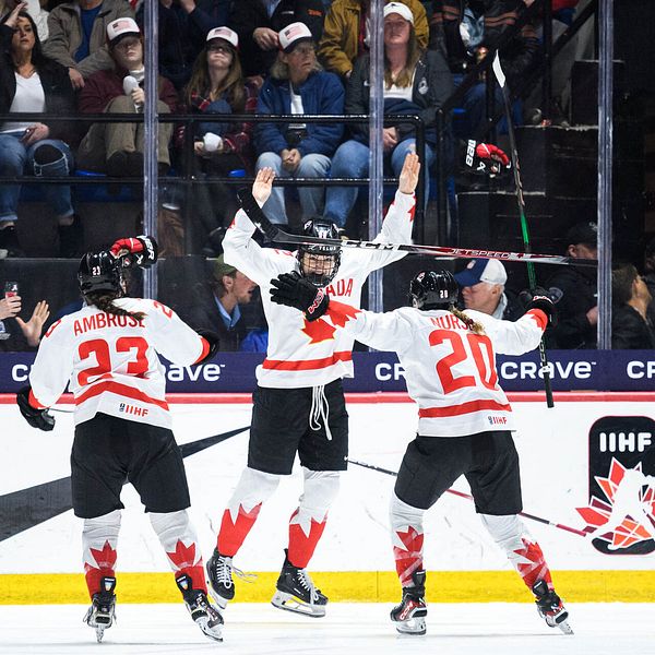 Kanadensiska hockeyspelare.